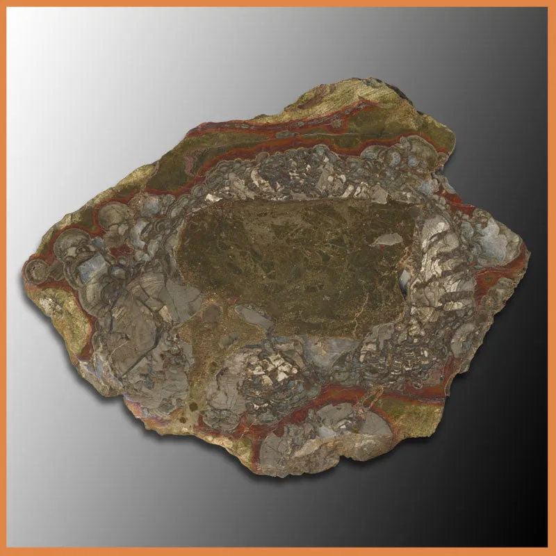 MUR125 Mushroom Rhyolite Polished Slab