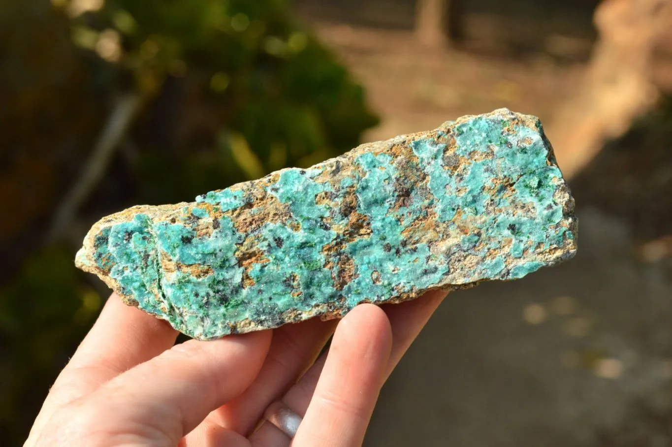 Natural Drusy Crystalline Chrysocolla With Malachite & Black Heterogenite x 8 From Likasi, Congo