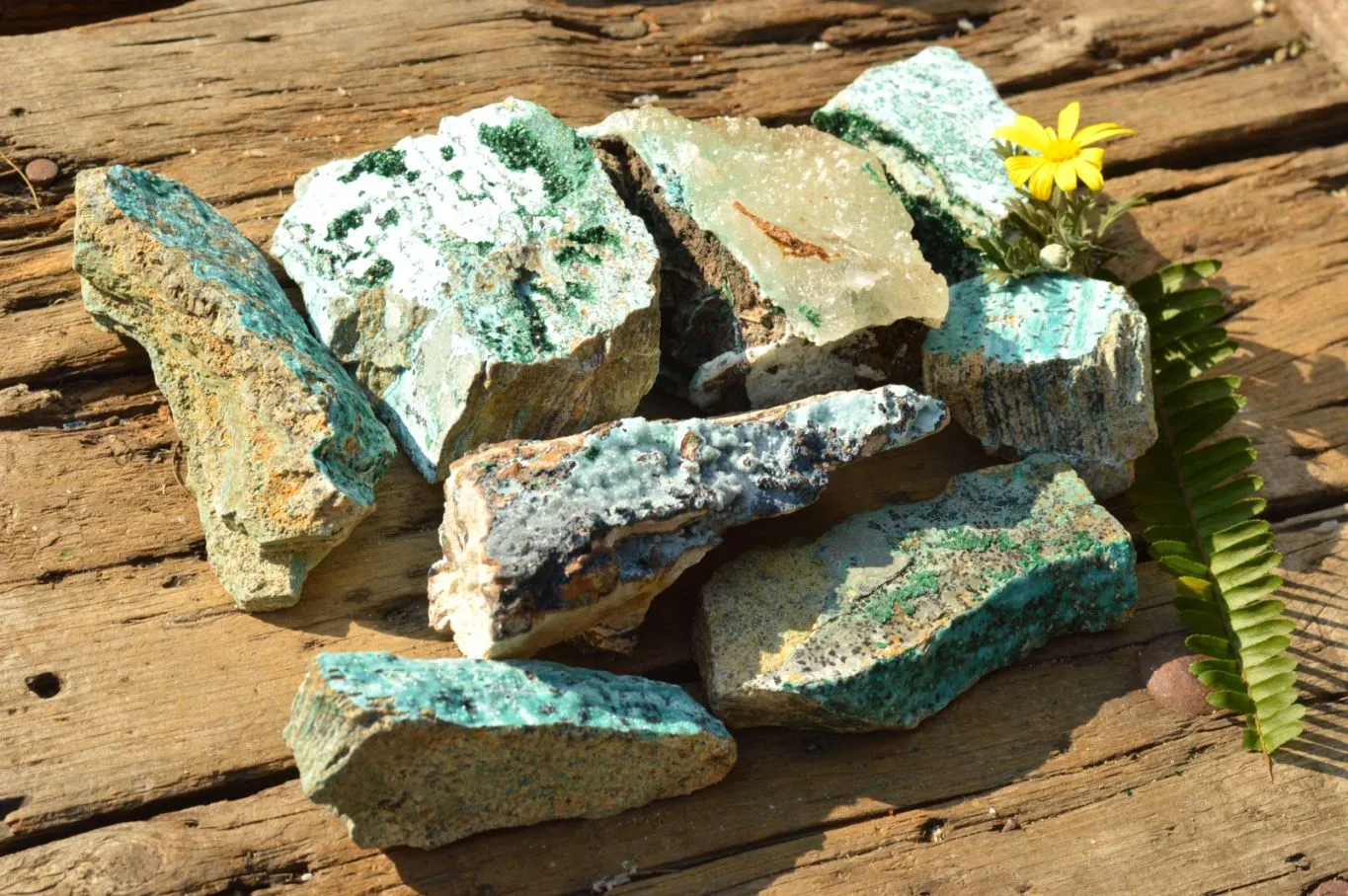 Natural Drusy Crystalline Chrysocolla With Malachite & Black Heterogenite x 8 From Likasi, Congo