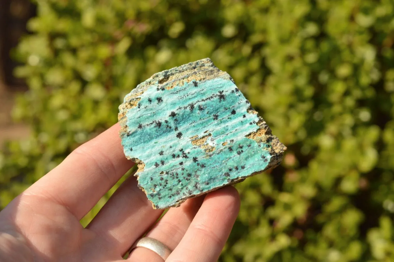 Natural Drusy Crystalline Chrysocolla With Malachite & Black Heterogenite x 8 From Likasi, Congo