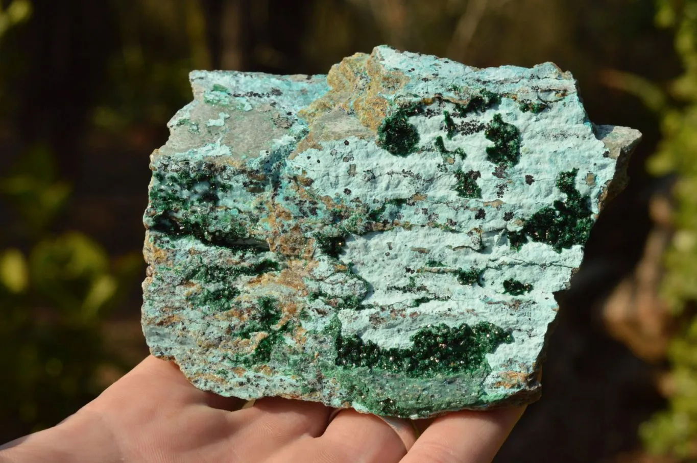 Natural Drusy Crystalline Chrysocolla With Malachite & Black Heterogenite x 8 From Likasi, Congo