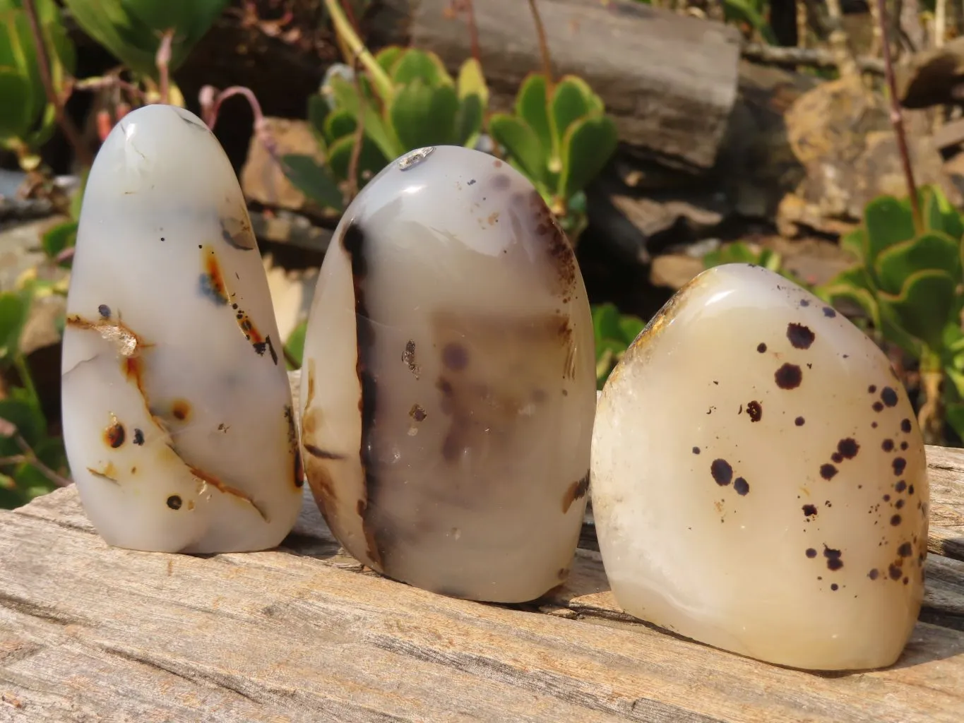 Polished Agate Standing Free Forms x 6 From Madagascar