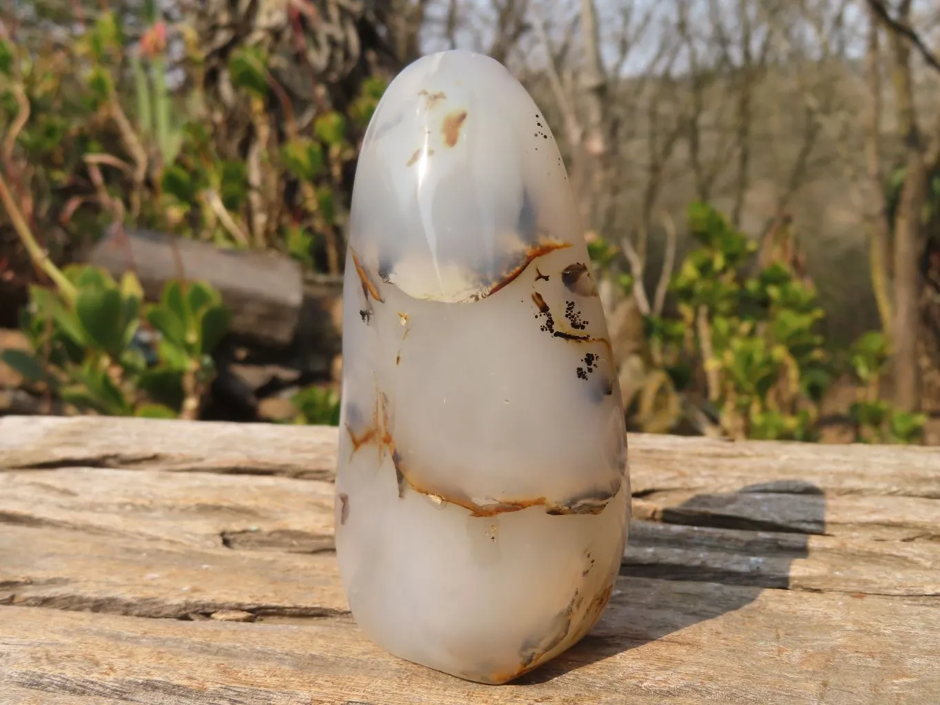 Polished Agate Standing Free Forms x 6 From Madagascar