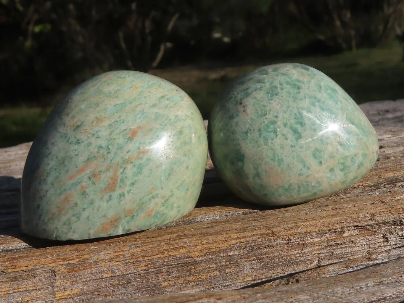 Polished Amazonite Palm Stones x 24 From Zimbabwe