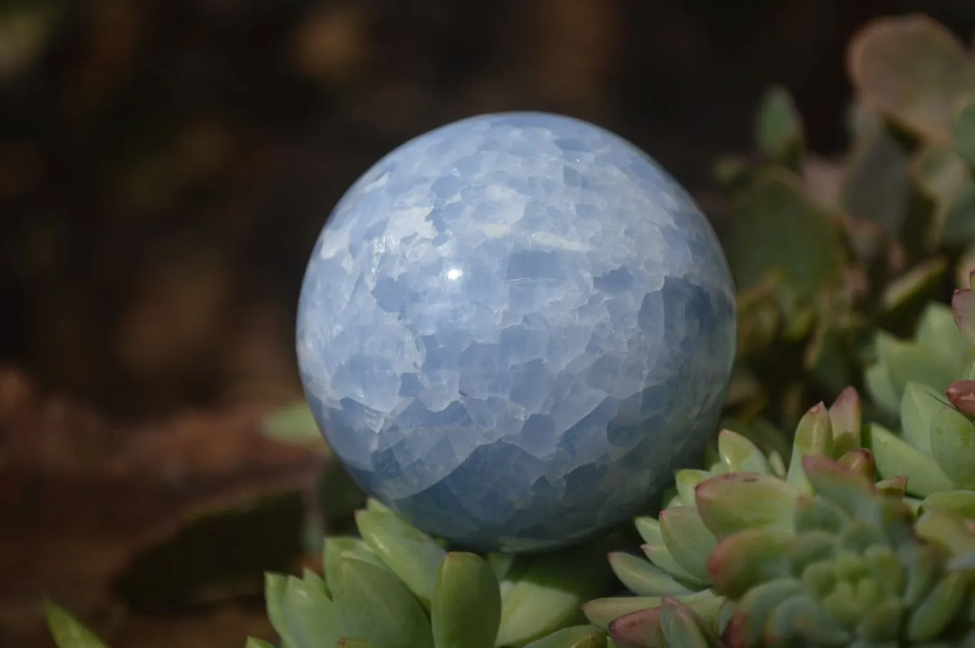 Polished Blue Calcite Spheres  x 4 From Ihadilalana, Madagascar