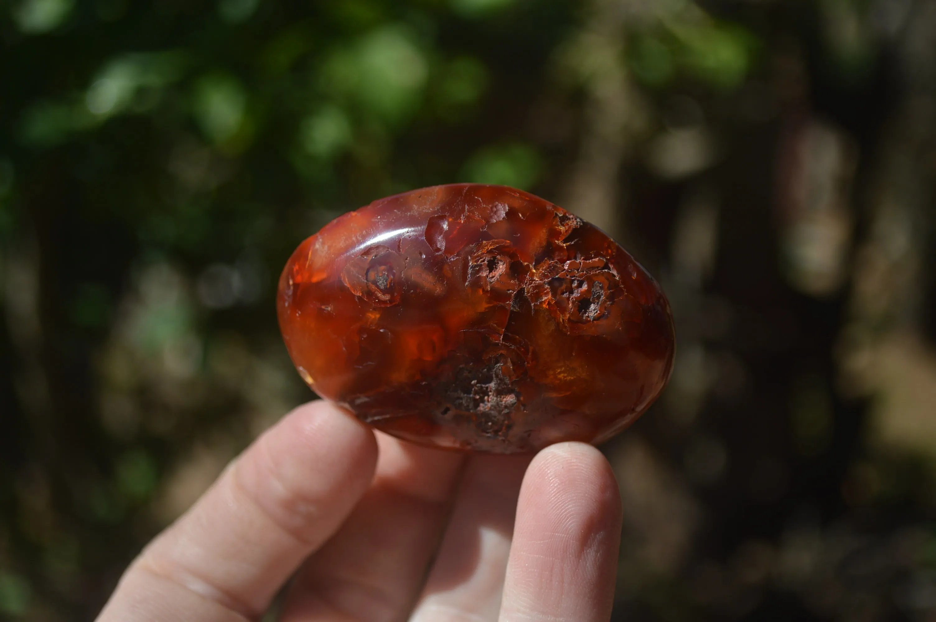 Polished Carnelian Palm Stones x 24 From Madagascar