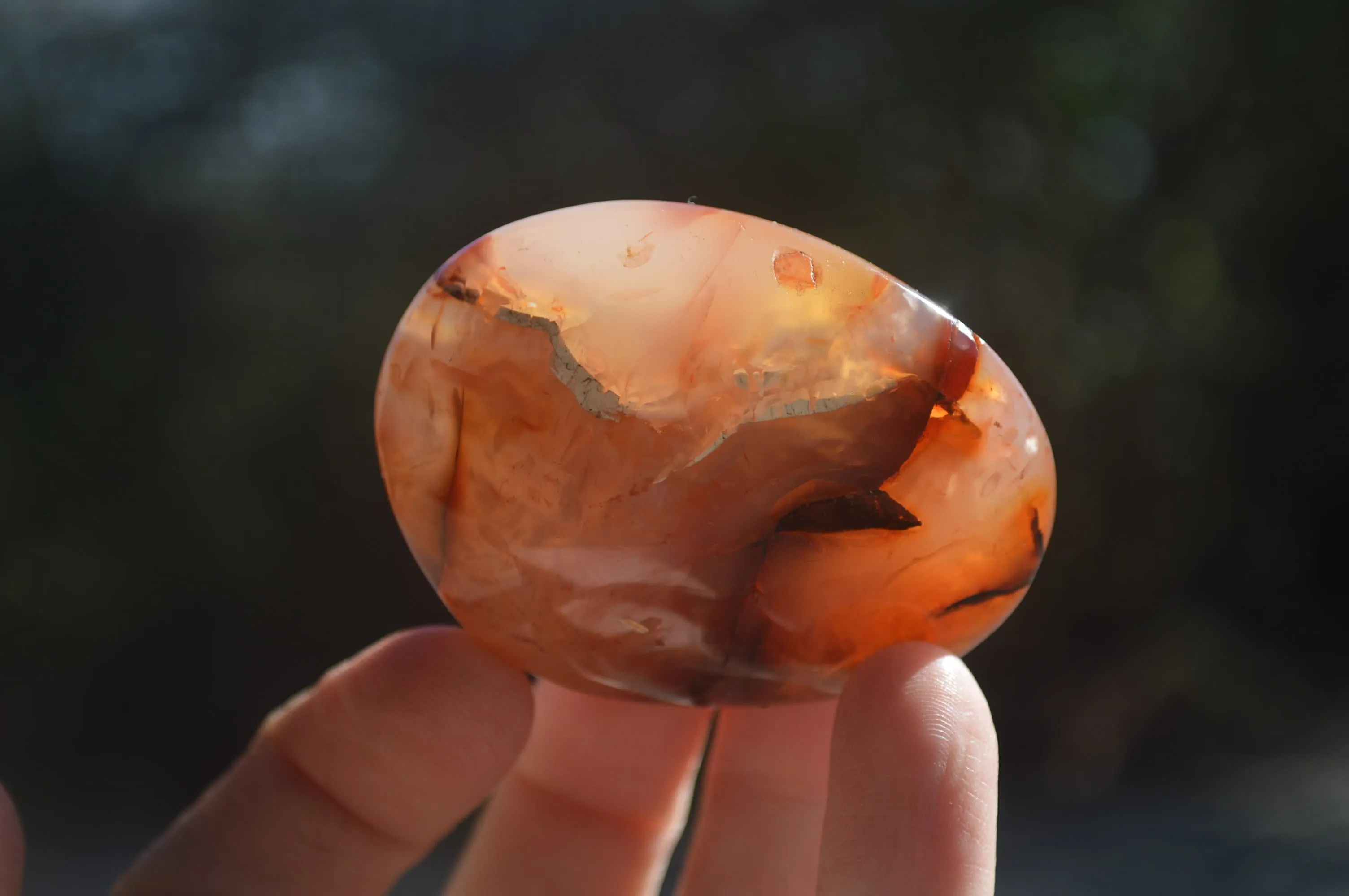 Polished Carnelian Palm Stones x 24 From Madagascar