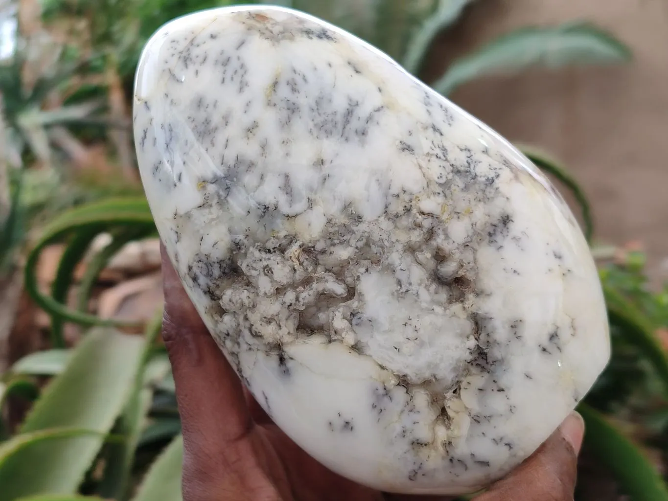 Polished Dendritic Opal Standing Free Forms x 2 From Madagascar