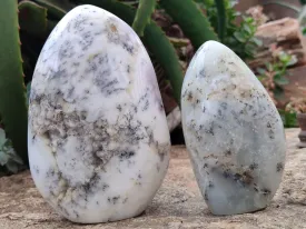 Polished Dendritic Opal Standing Free Forms x 2 From Madagascar