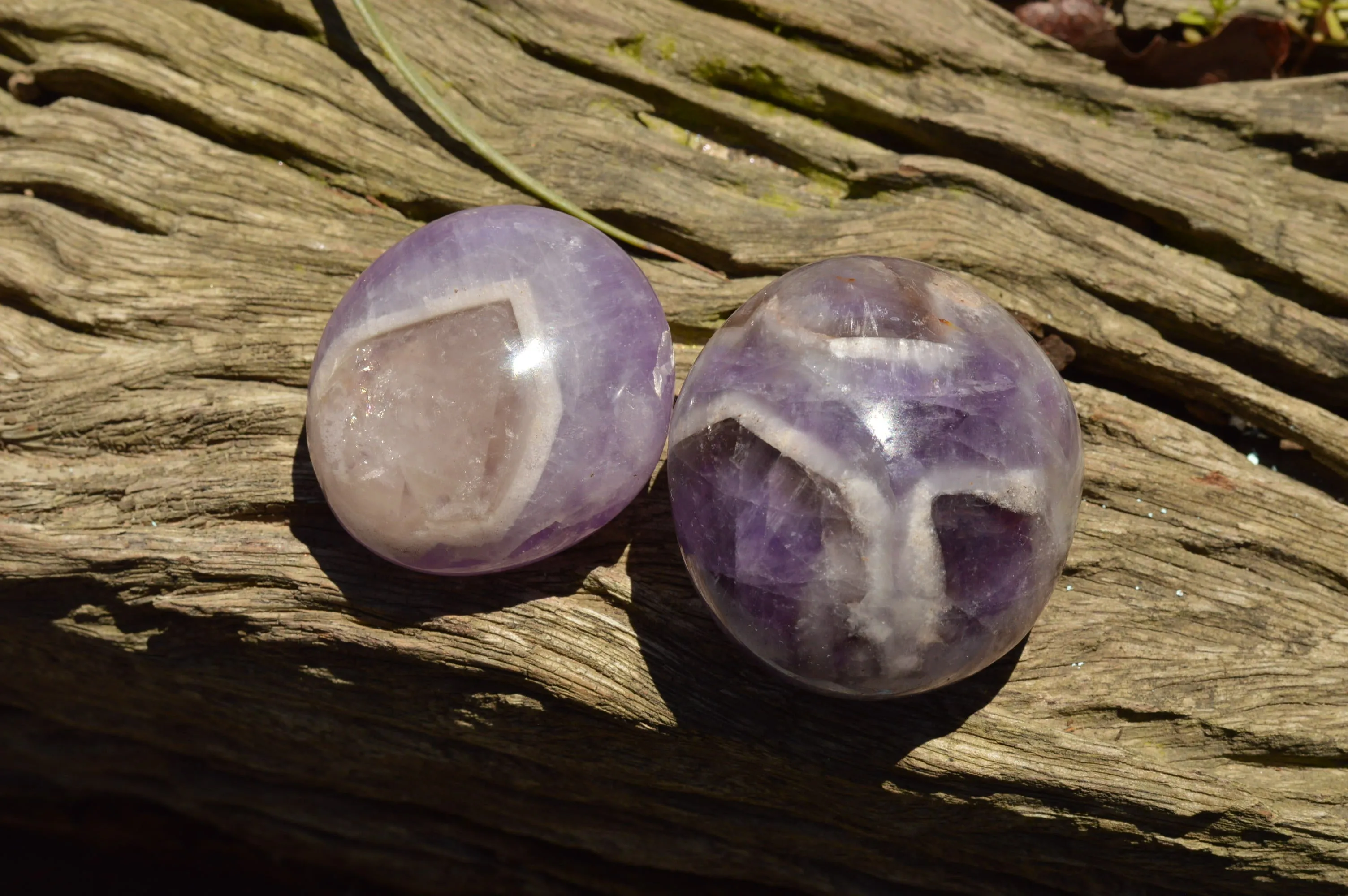 Polished Dream Amethyst Galet / Palm Stones x 20 From Madagascar