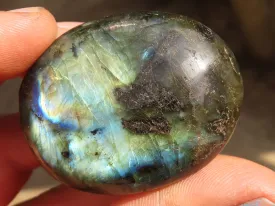 Polished  Flashy Labradorite Palm Stones  x 12 From Tulear, Madagascar