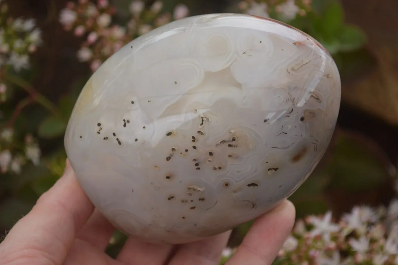 Polished Gorgeous Agate Standing Free Forms x 2 From Madagascar