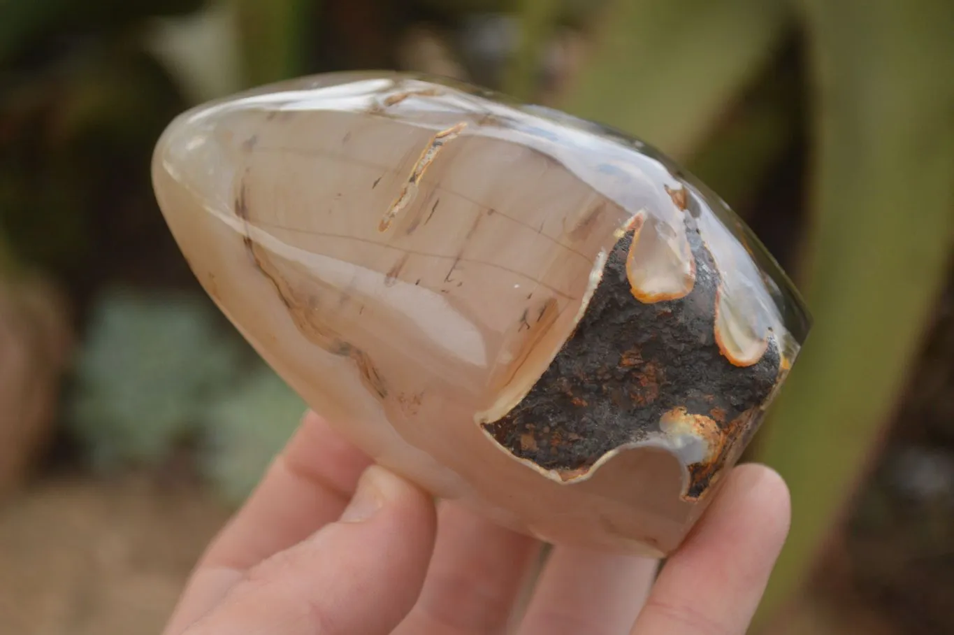 Polished Gorgeous Agate Standing Free Forms x 2 From Madagascar