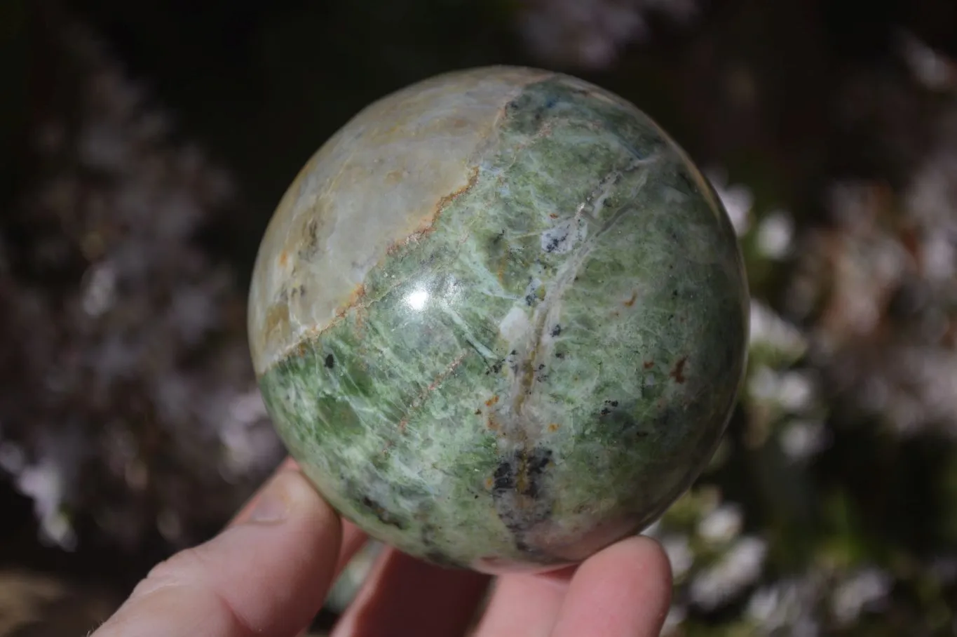 Polished Green Chrysoprase Spheres  x 2 From Madagascar