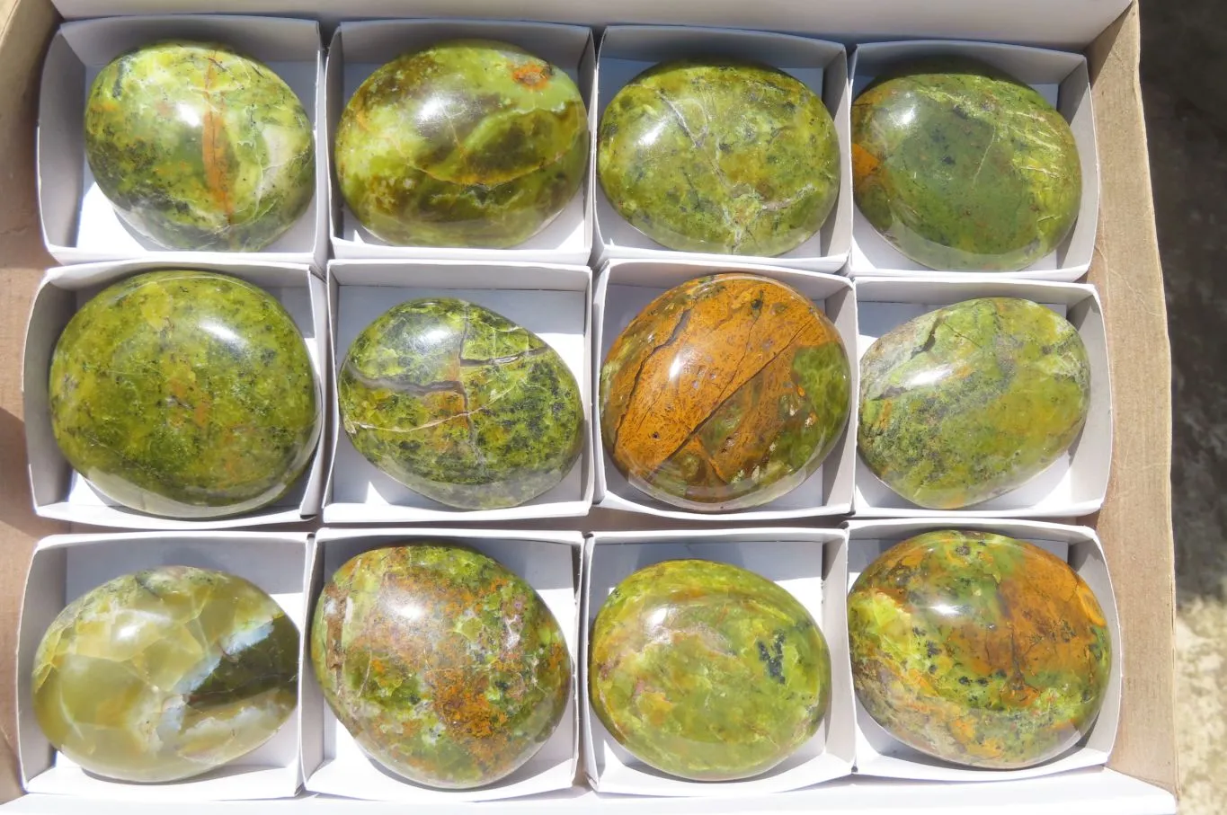 Polished Green Opal Palm Stones x 12 From Madagascar