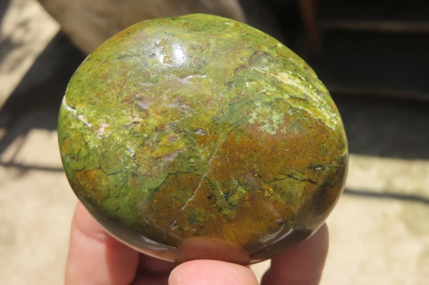 Polished Green Opal Palm Stones x 12 From Madagascar