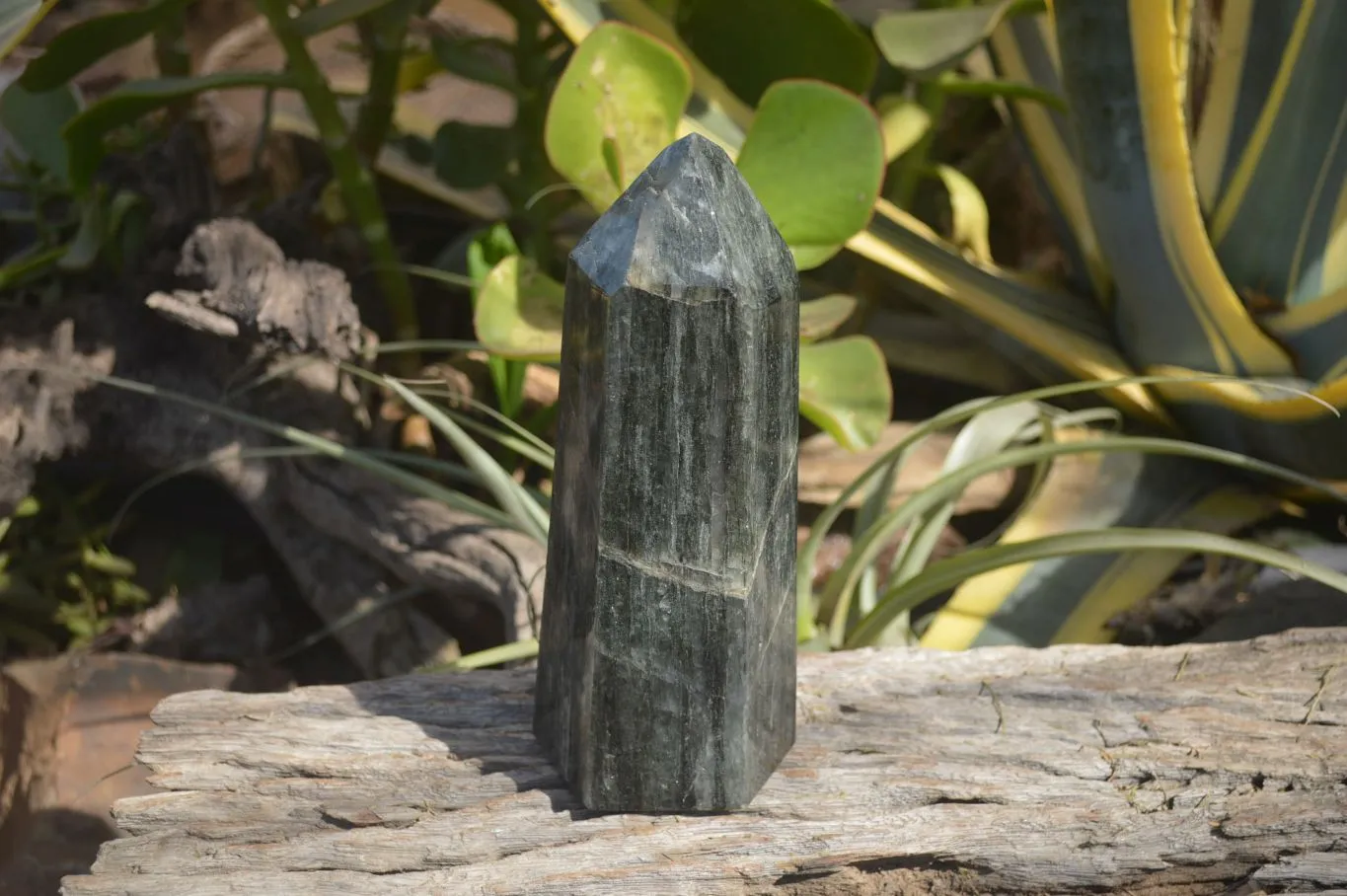 Polished Large Banded Green Fuchsite Quartz Point  x 1 From Madagascar