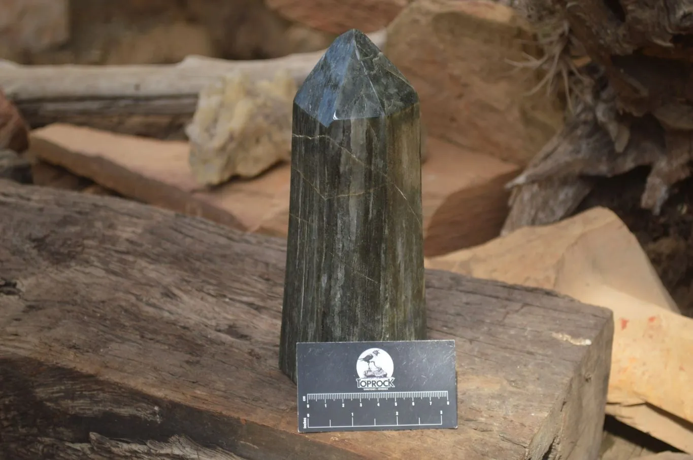 Polished Large Banded Green Fuchsite Quartz Point  x 1 From Madagascar