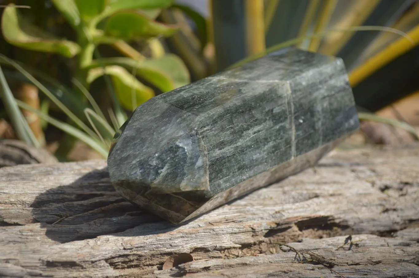 Polished Large Banded Green Fuchsite Quartz Point  x 1 From Madagascar