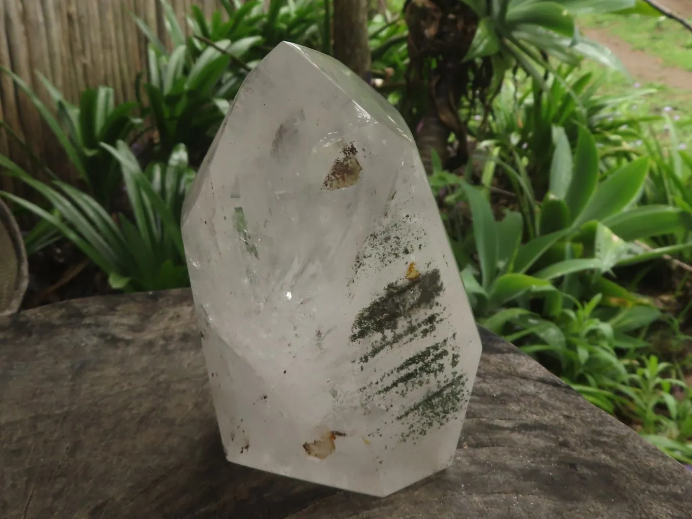 Polished Large Chlorite "Moss" Included Quartz Crystal x 1 From Madagascar