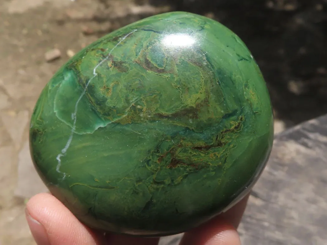 Polished Large Green Verdite Galet / Palm Stones x 6 From Zimbabwe