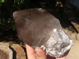 Polished Large Smokey Quartz Crystals  x 2 From Mulanje, Malawi