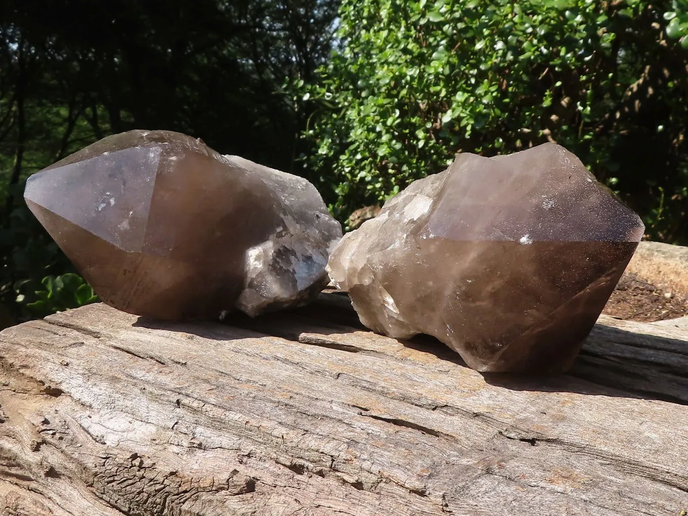 Polished Large Smokey Quartz Crystals  x 2 From Mulanje, Malawi