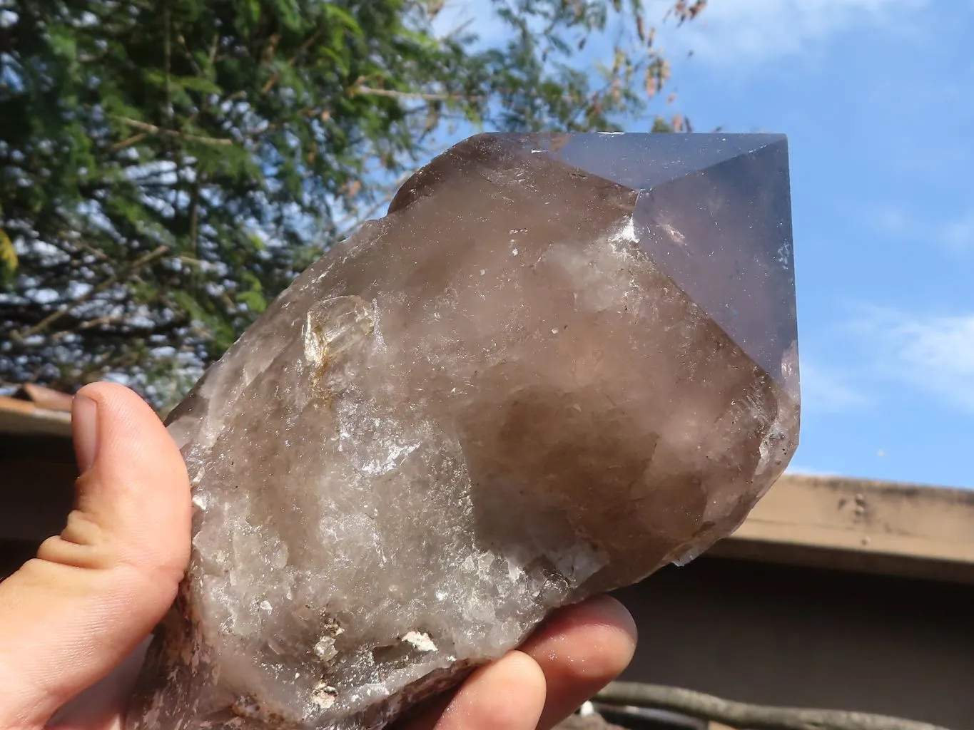 Polished Large Smokey Quartz Crystals  x 2 From Mulanje, Malawi