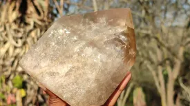 Polished Large Smokey Quartz Point x 1 From Angola