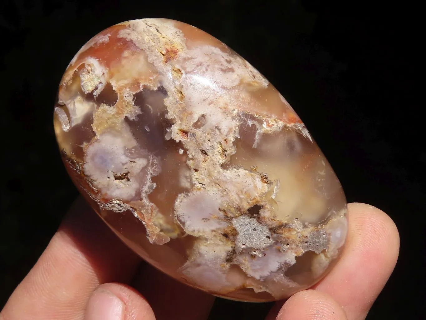 Polished Ocean  Flower Agate Palm Stones  x 12 From Maintirano, Madagascar