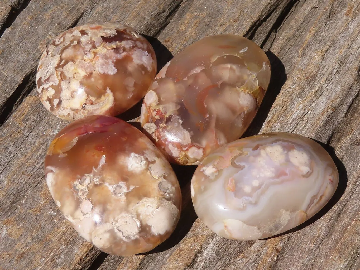 Polished Ocean  Flower Agate Palm Stones  x 12 From Maintirano, Madagascar