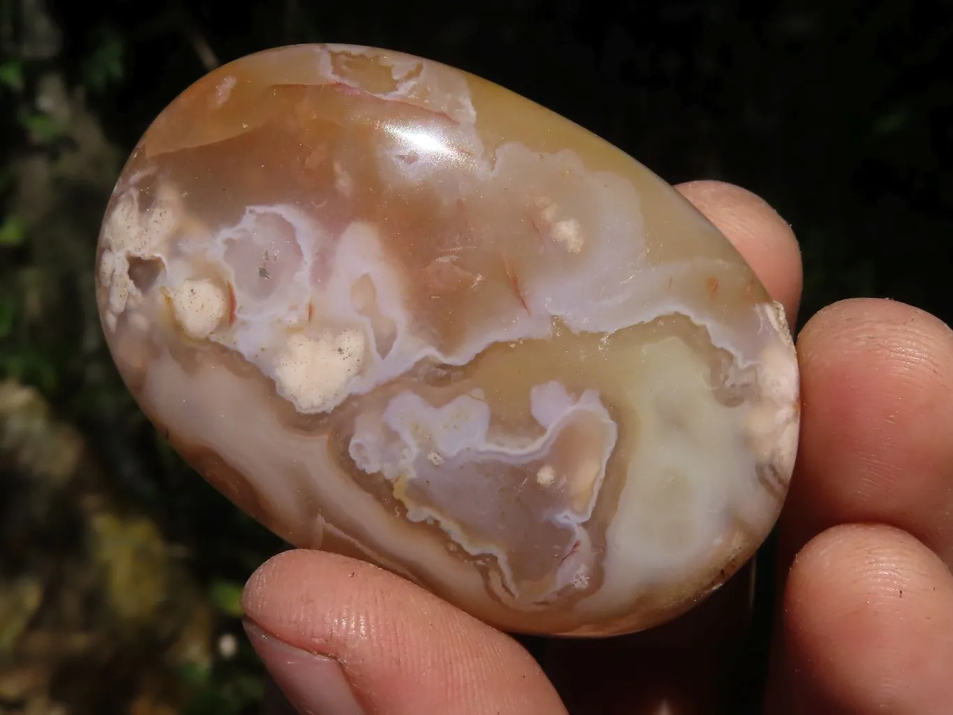 Polished Ocean  Flower Agate Palm Stones  x 12 From Maintirano, Madagascar