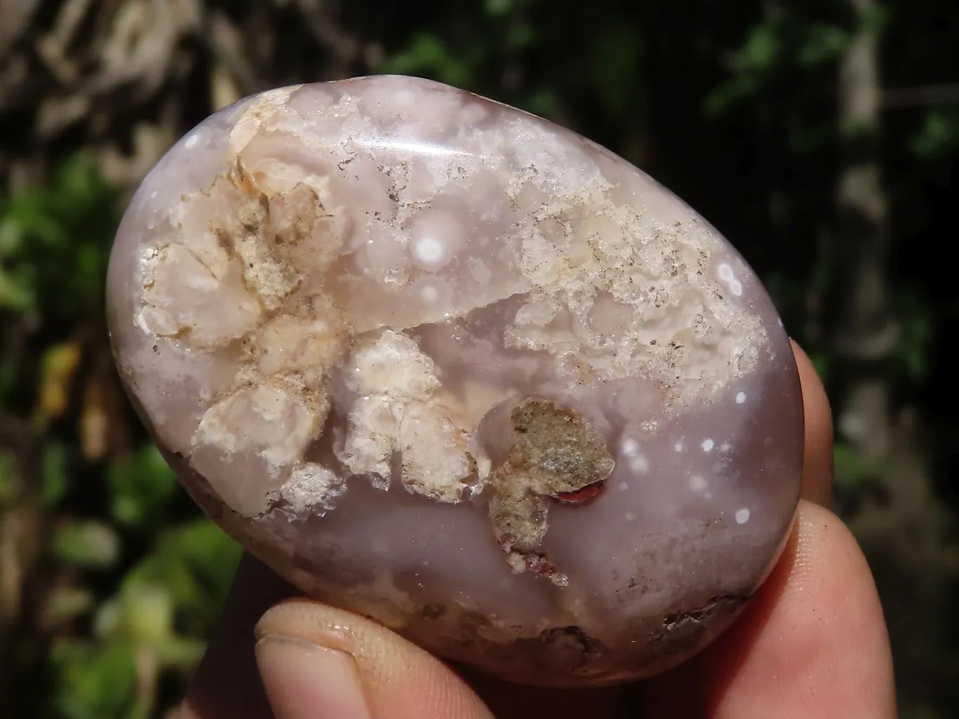 Polished Ocean  Flower Agate Palm Stones  x 12 From Maintirano, Madagascar