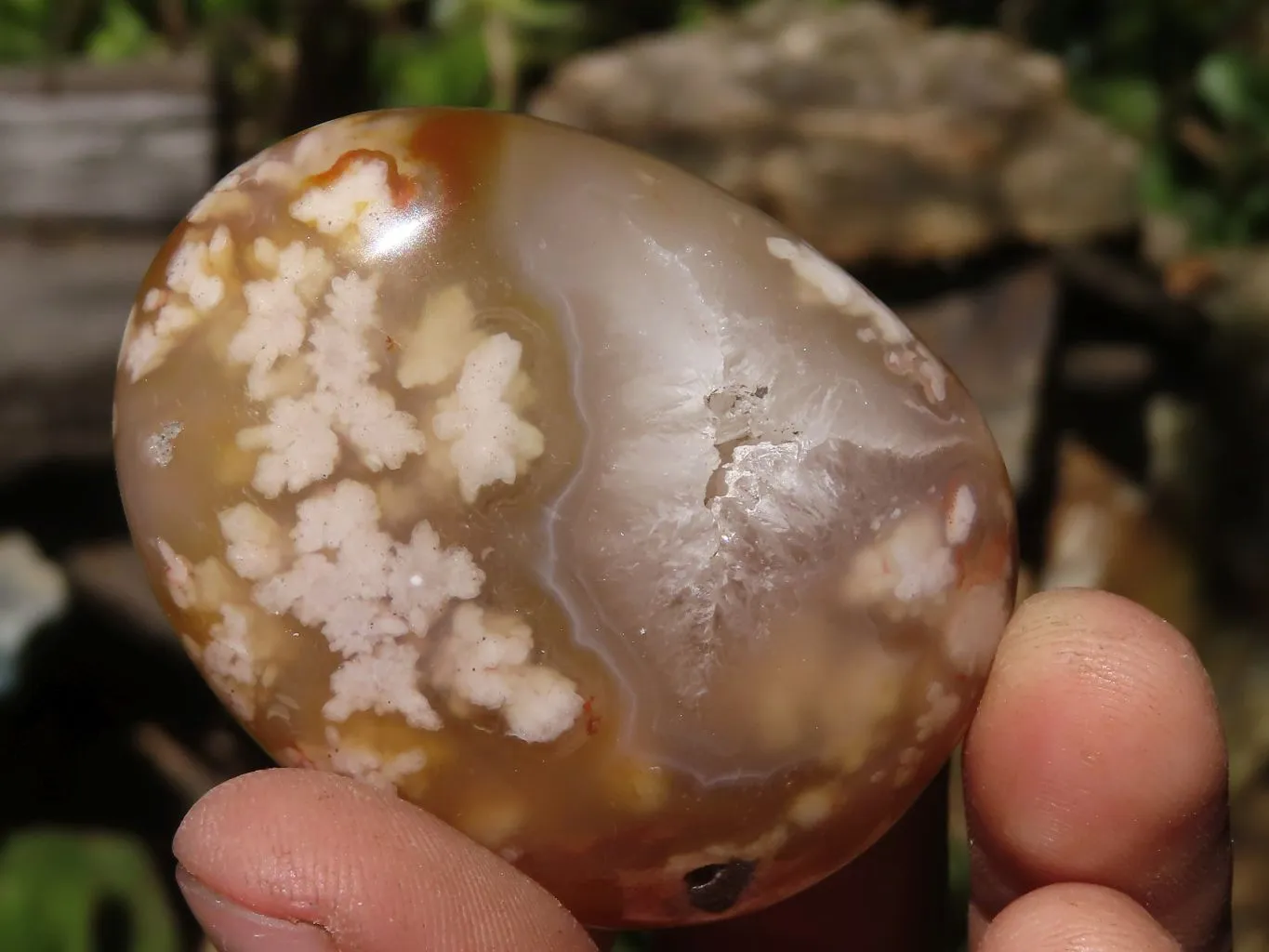 Polished Ocean  Flower Agate Palm Stones  x 12 From Maintirano, Madagascar