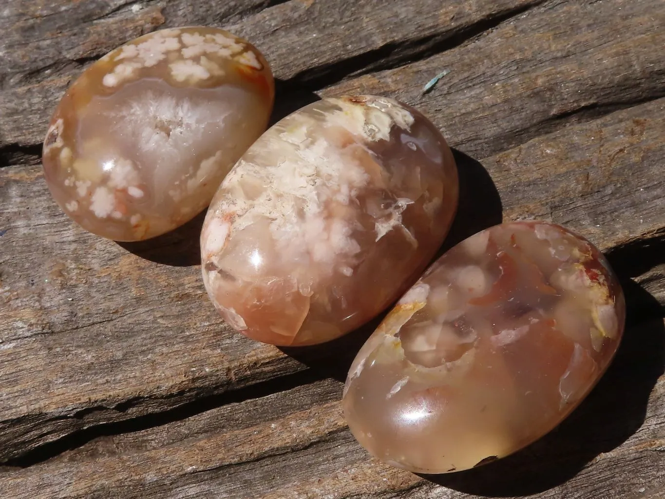 Polished Ocean  Flower Agate Palm Stones  x 12 From Maintirano, Madagascar