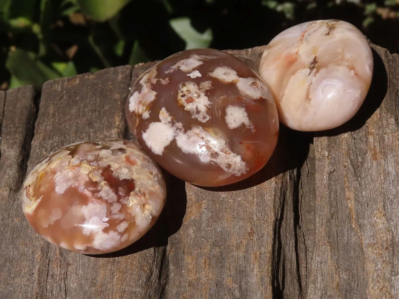 Polished Ocean  Flower Agate Palm Stones  x 12 From Maintirano, Madagascar