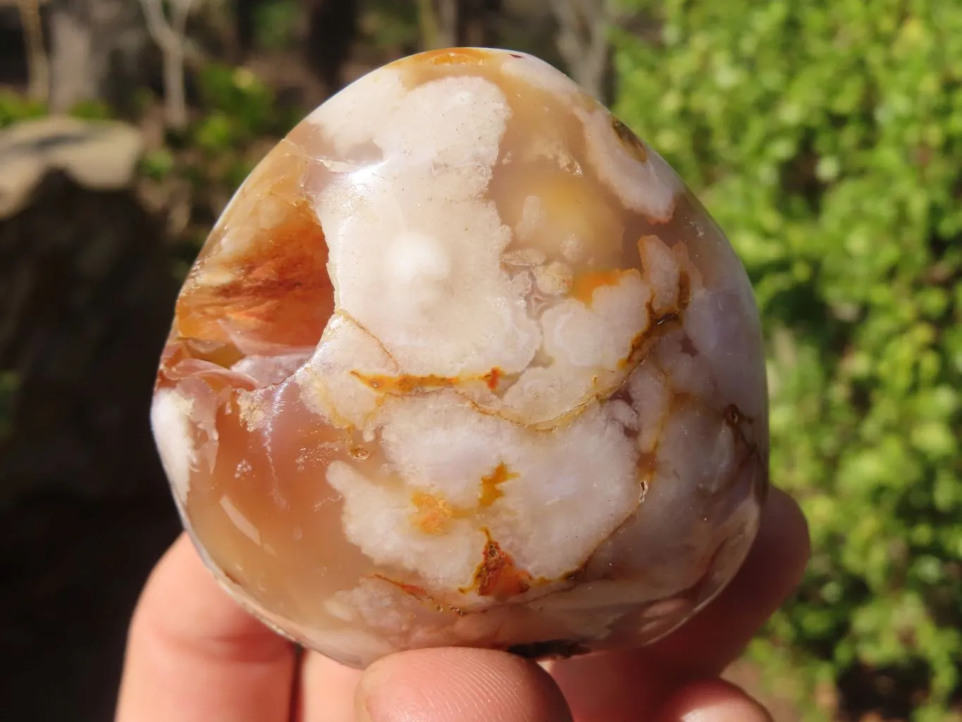 Polished Ocean Flower Agate Standing Free Forms  x 12 From Antsahalova, Madagascar