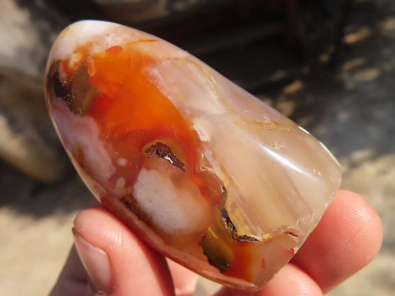 Polished Ocean Flower Agate Standing Free Forms  x 12 From Antsahalova, Madagascar