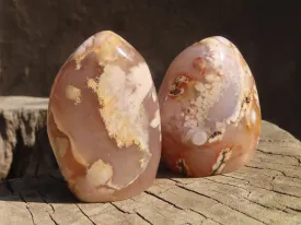 Polished Ocean Flower Agate Standing Free Forms  x 12 From Antsahalova, Madagascar