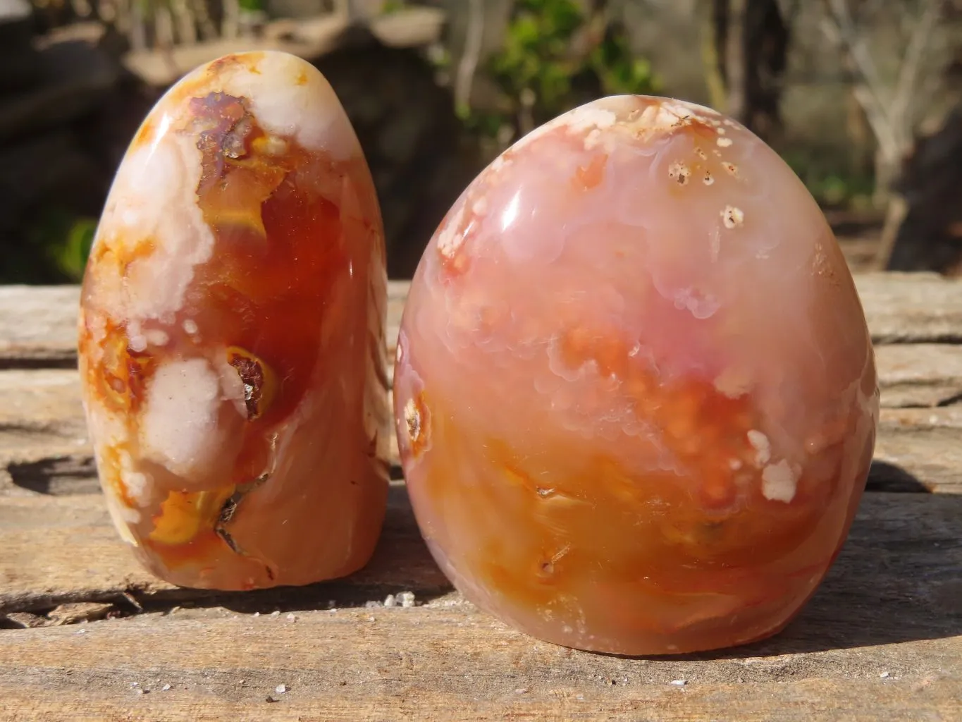 Polished Ocean Flower Agate Standing Free Forms  x 12 From Antsahalova, Madagascar