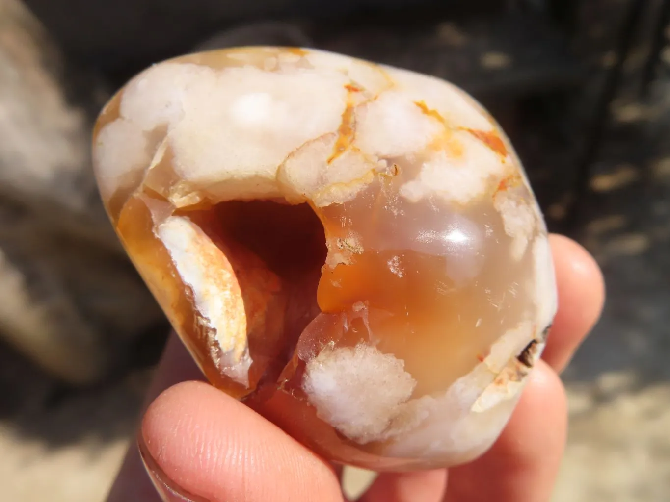 Polished Ocean Flower Agate Standing Free Forms  x 12 From Antsahalova, Madagascar