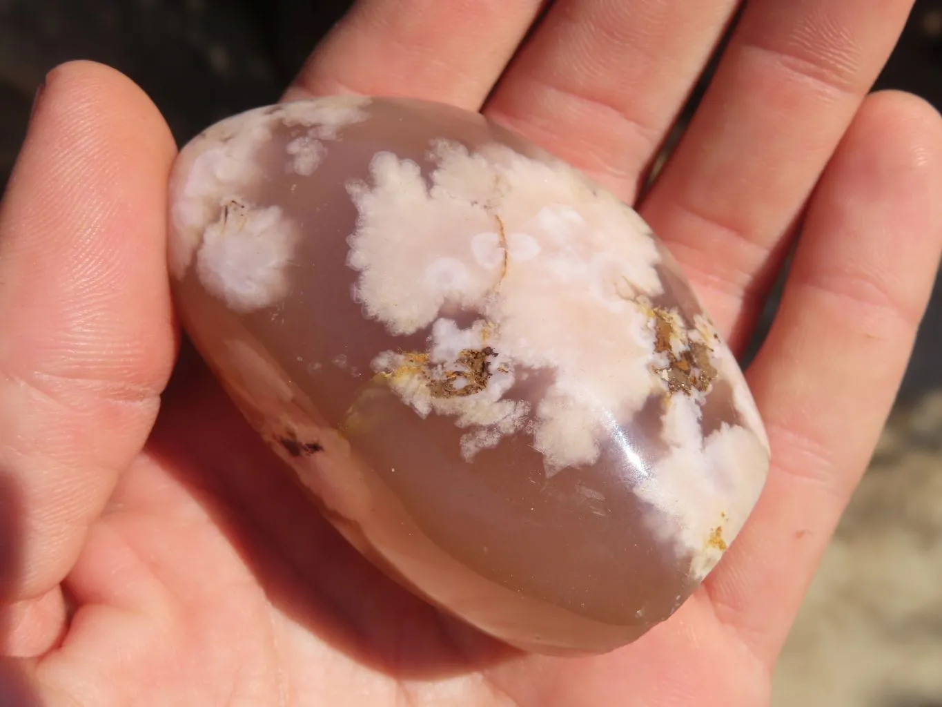 Polished Ocean Flower Agate Standing Free Forms  x 12 From Antsahalova, Madagascar