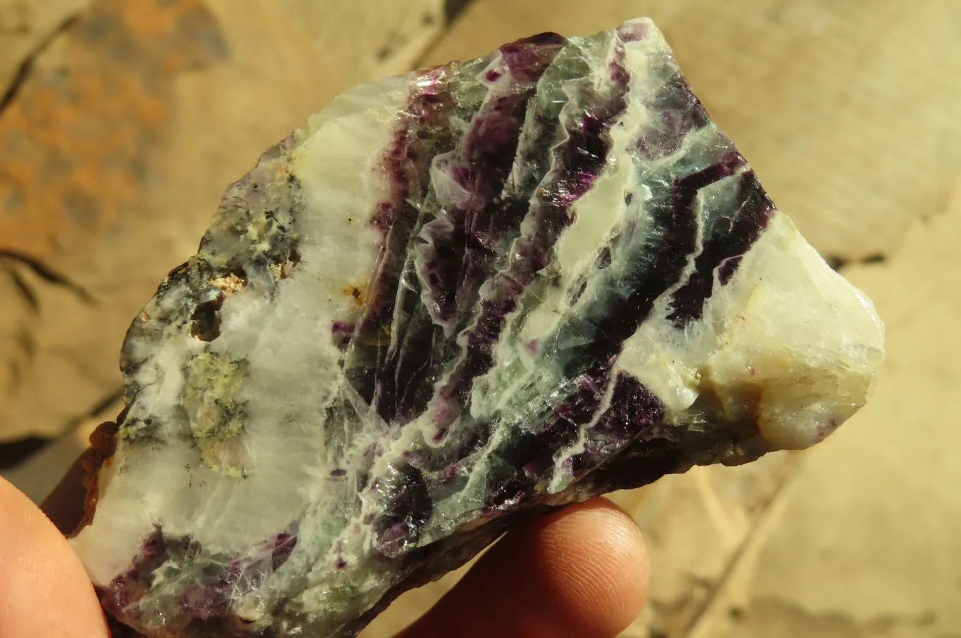 Polished On One Side Watermelon Fluorite x 12 From Uis, Namibia