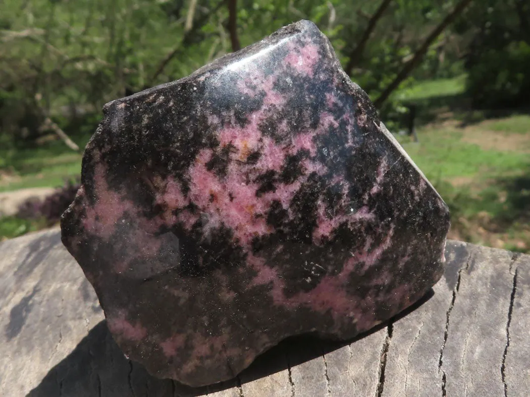 Polished One Natural Pink & Black Rhodonite Free Forms  x 6 From Madagascar