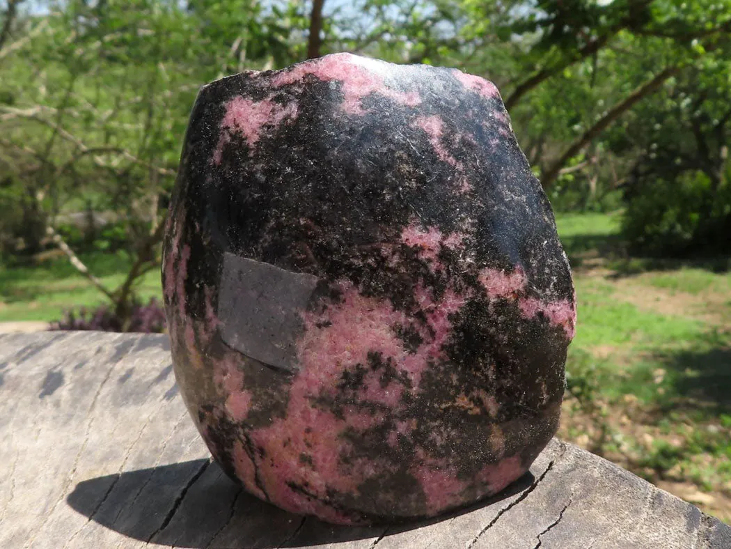 Polished One Natural Pink & Black Rhodonite Free Forms  x 6 From Madagascar