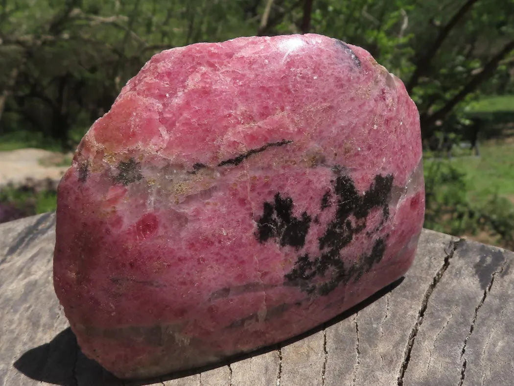 Polished One Natural Pink & Black Rhodonite Free Forms  x 6 From Madagascar