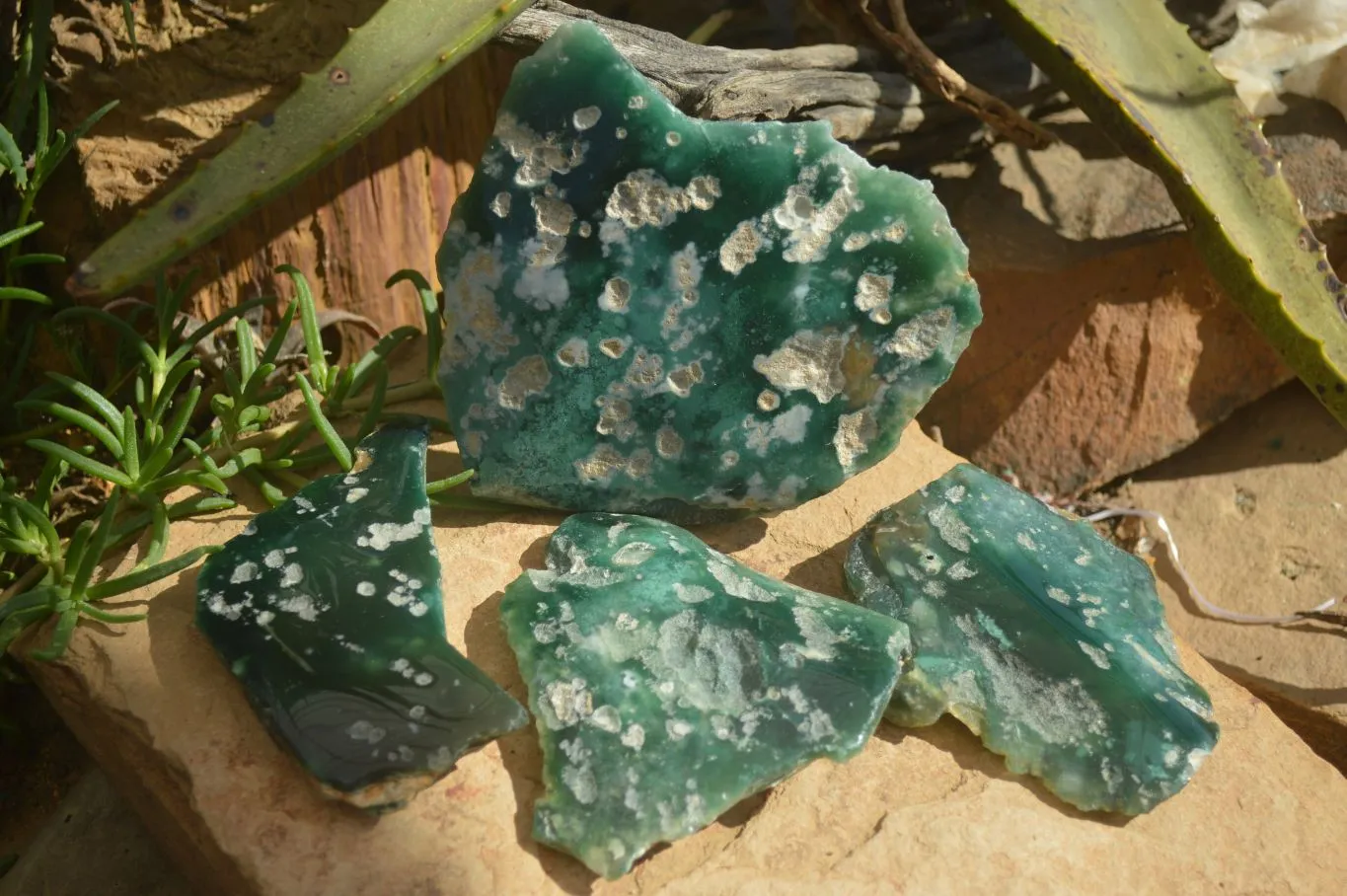 Polished One Side Polished Emerald Mtorolite Plates  x 4 From Zimbabwe