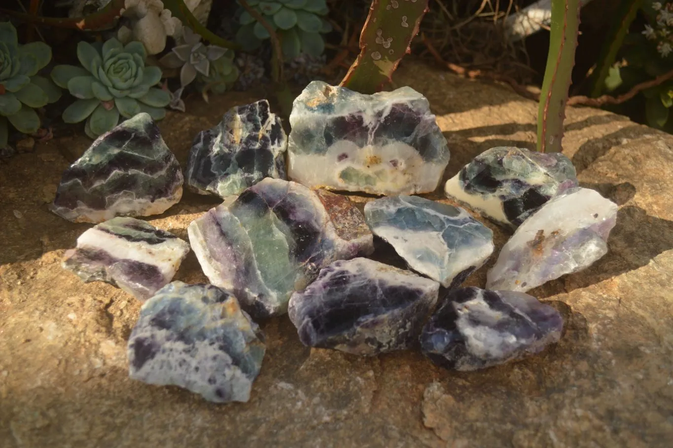 Polished  One Side Polished Watermelon Fluorite Pieces  x 10 From Uis, Namibia