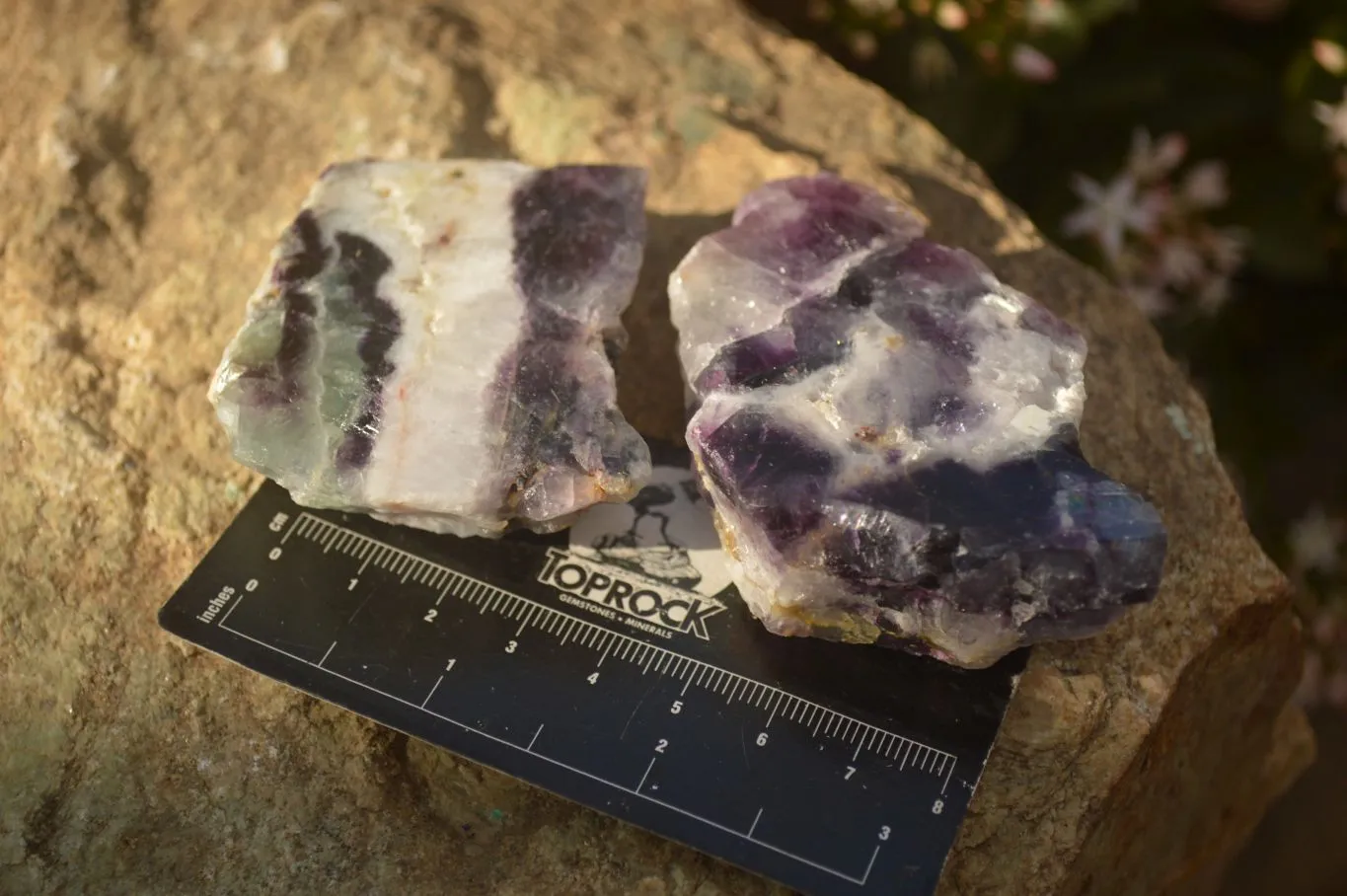 Polished  One Side Polished Watermelon Fluorite Pieces  x 10 From Uis, Namibia