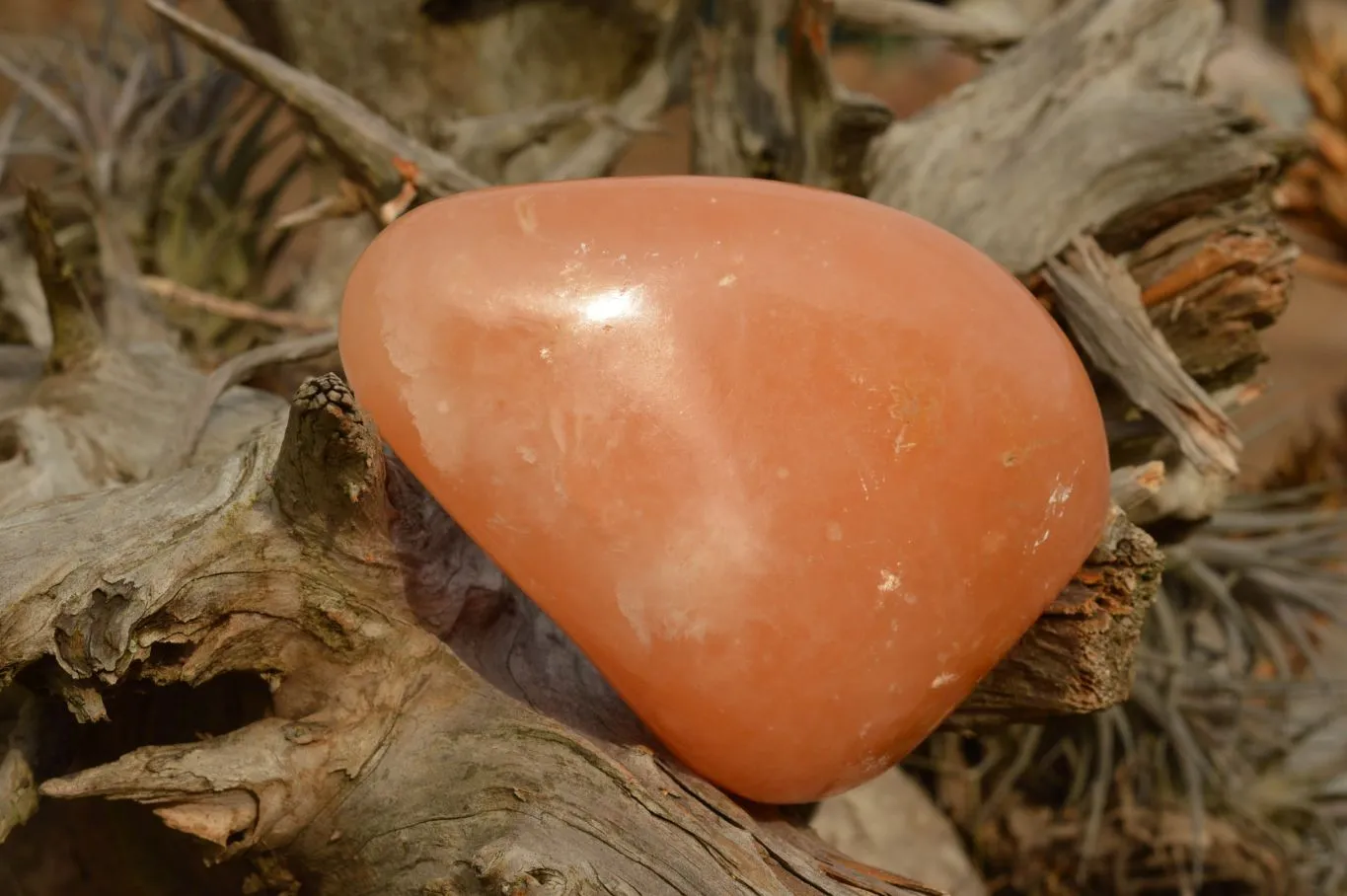 Polished Orange Twist Calcite Standing Free Forms  x 4 From Maevantanana, Madagascar